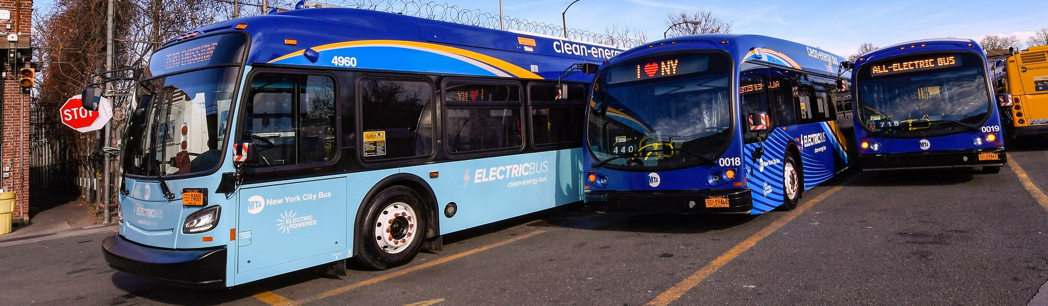 Three electric buses parked in a parking lot. The buses are blue. 