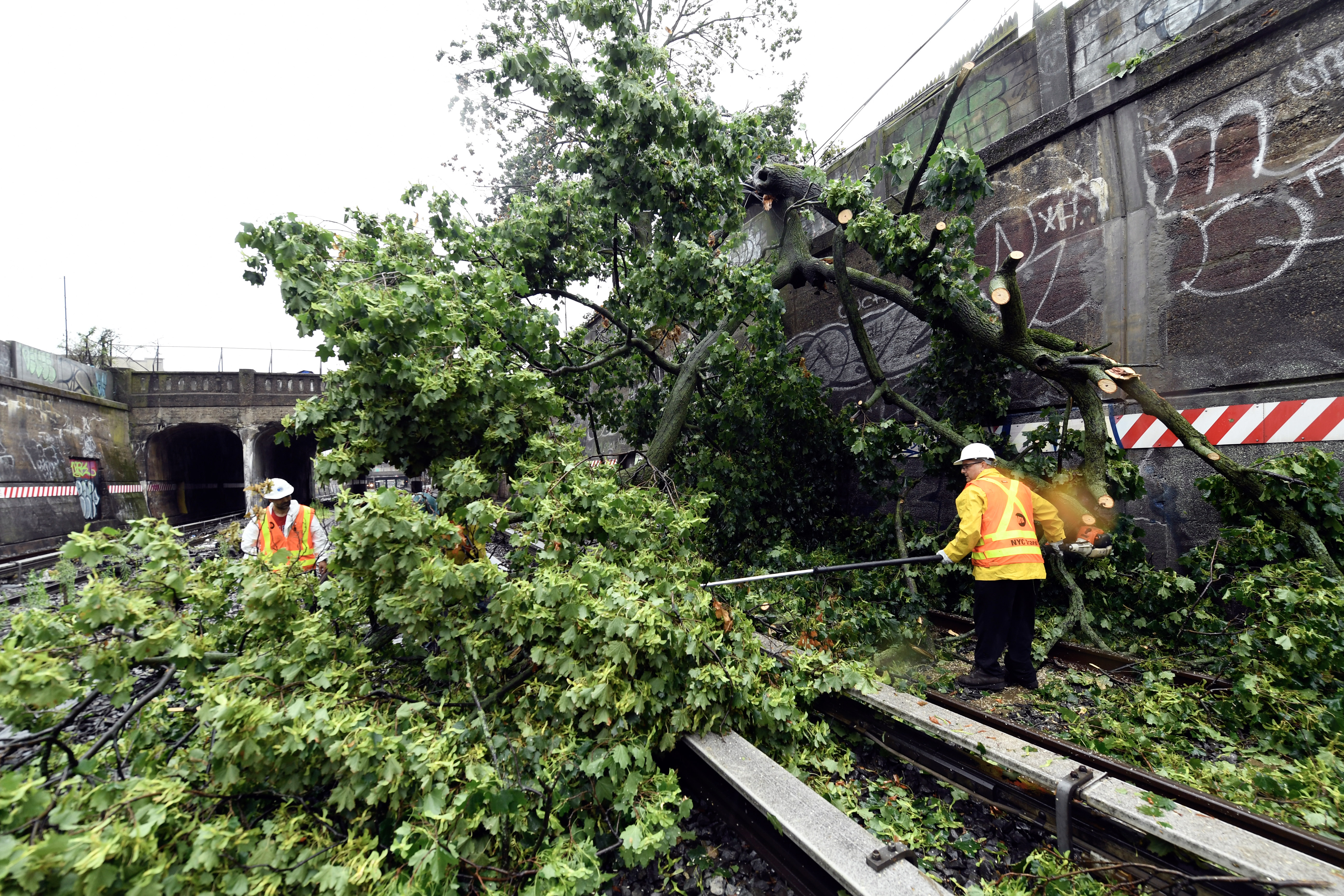 PHOTOS: MTA Crews Work to Remove Fallen Tree from Tracks in Brooklyn 