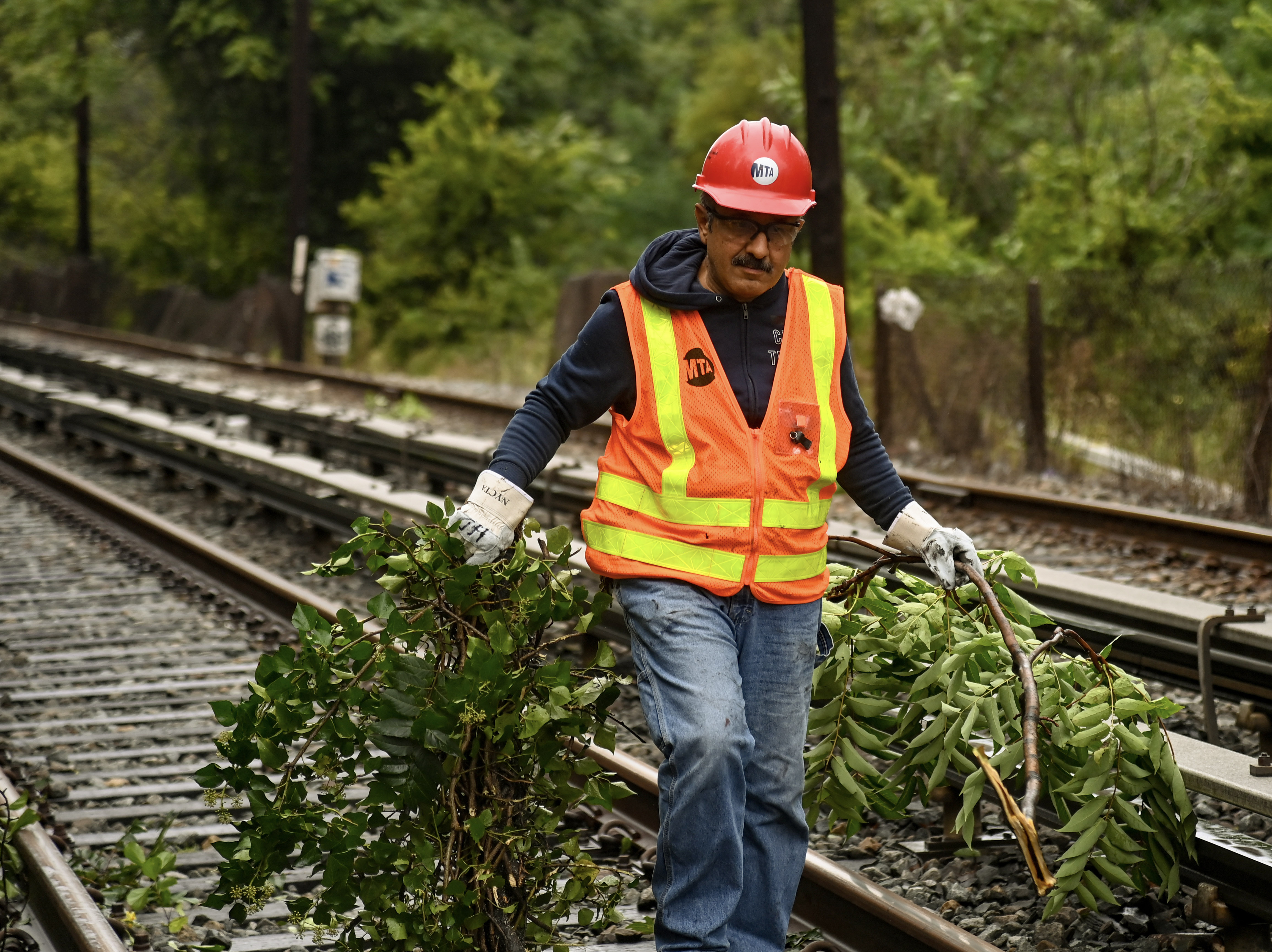 Worker Clears Tree From Tracks
